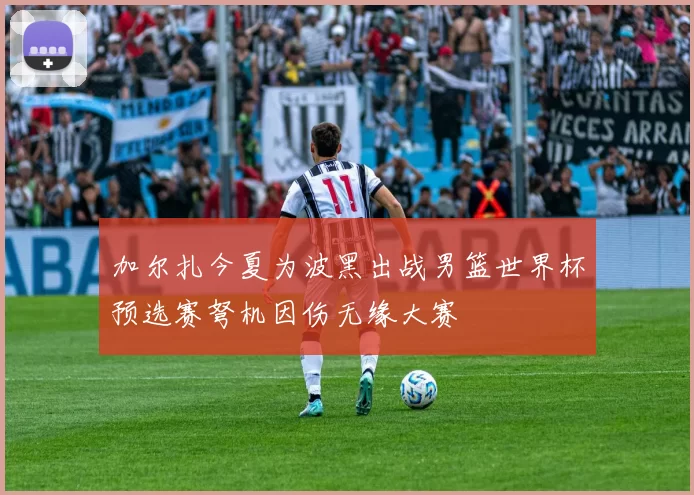 加尔扎今夏为波黑出战男篮世界杯预选赛弩机因伤无缘大赛