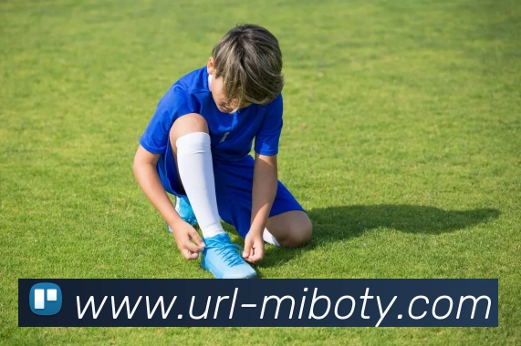 App Interface Preview