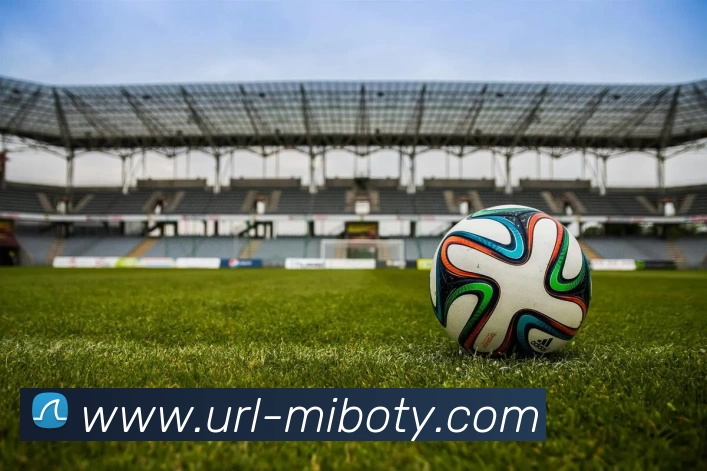 米博体育APP 封面图